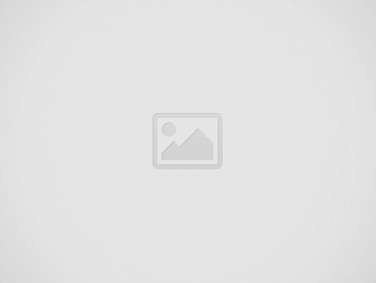 Service Chauffeur Drivigo